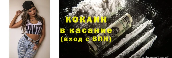 гидра Елабуга