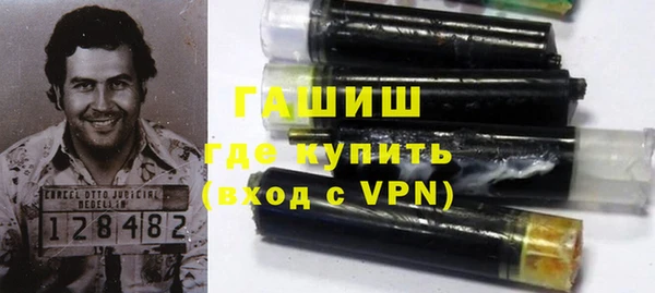 гидра Елабуга