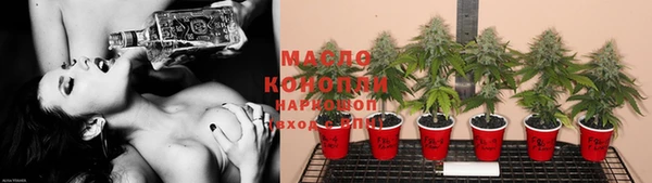 стафф Елизово