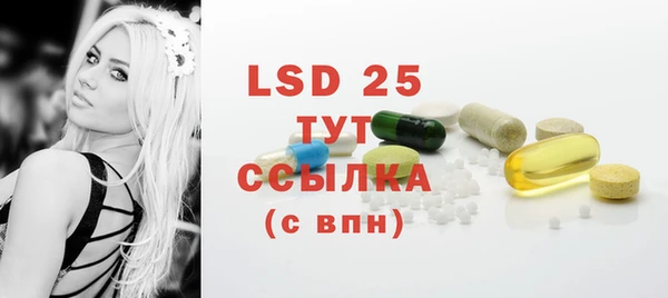 стафф Елизово
