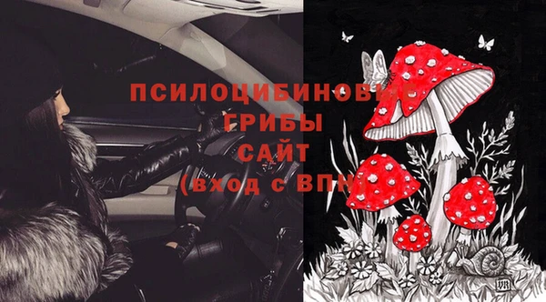 mdma Ельня