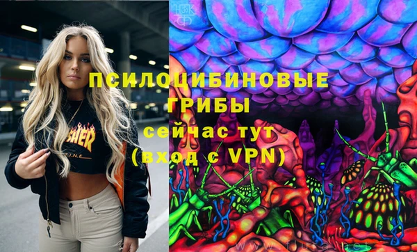 стафф Елизово