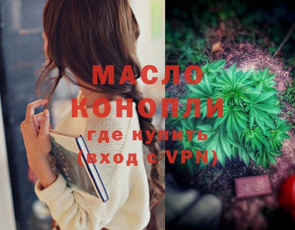 гидра Елабуга