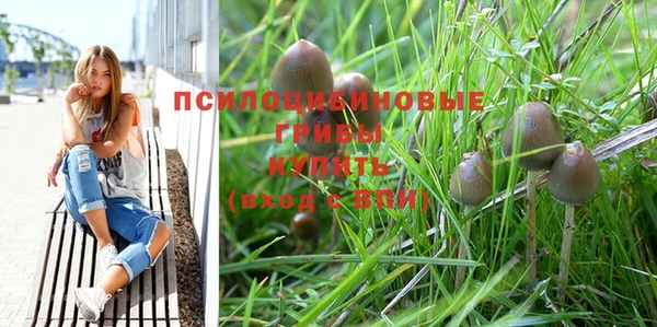 гидра Елабуга