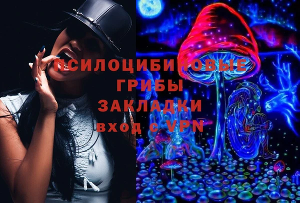 стафф Елизово